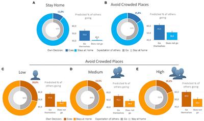 Avoiding Crowded Places During COVID-19: Common Sense or a Complex Strategic Decision?